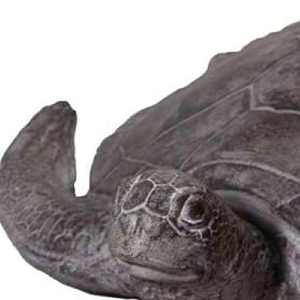 22" Sea Turtle Indoor Outdoor Statue - Image 6