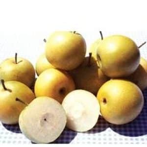 ***Twentieth Century Asian Pear